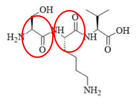 Chemische Strukturformel eines Moleküls mit markierten Bereichen in Rot.